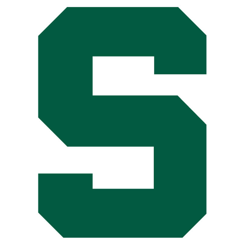 Michigan State Spartans iron ons